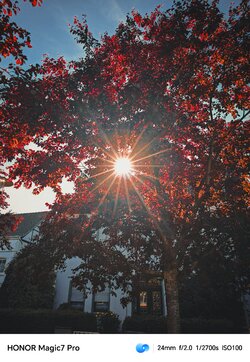 IMG_20250512_185247.jpg
