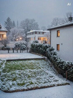 Winter.jpg