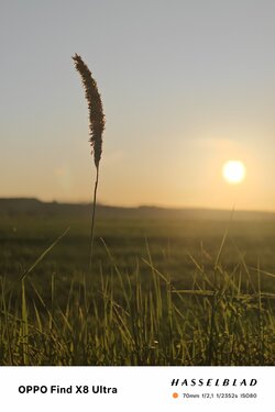 IMG20250430201656.jpg