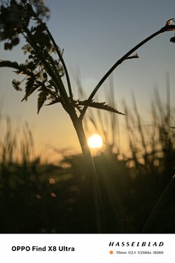 IMG20250430201603.jpg