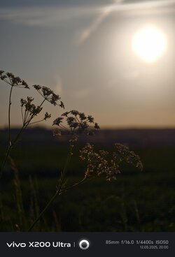 IMG_20250512_200041.jpg