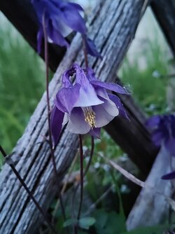IMG20250512210953~2.jpg