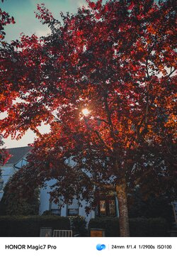 IMG_20250512_225144.jpg