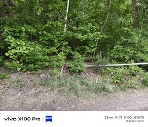 IMG_20250512_204242.jpg