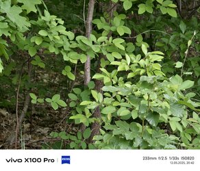 IMG_20250512_204249.jpg