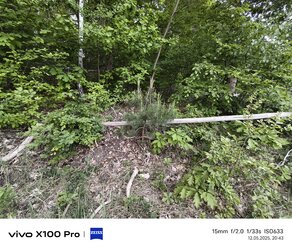 IMG_20250512_204305.jpg