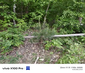 IMG_20250512_204306.jpg