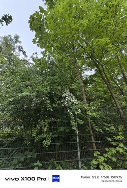 IMG_20250512_204631.jpg