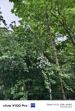 IMG_20250512_204633.jpg