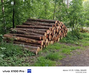IMG_20250512_205042.jpg