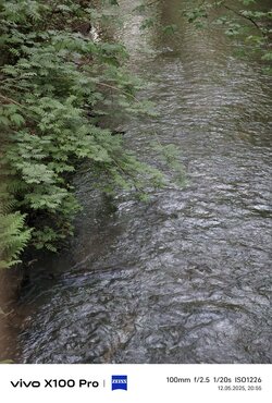 IMG_20250512_205523.jpg