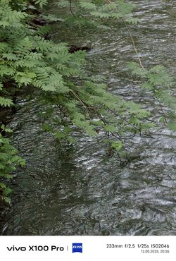 IMG_20250512_205527.jpg