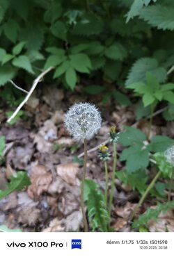 IMG_20250512_205853.jpg