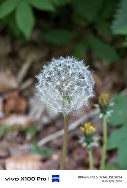 IMG_20250512_205857.jpg