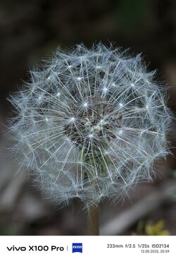 IMG_20250512_205905.jpg