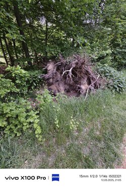 IMG_20250512_210534.jpg