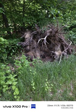 IMG_20250512_210536.jpg