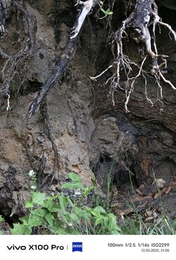 IMG_20250512_210541.jpg