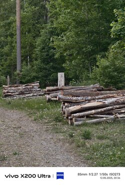 IMG_20250512_203629.jpg