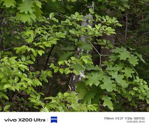 IMG_20250512_204359.jpg