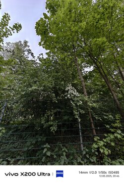 IMG_20250512_204657.jpg