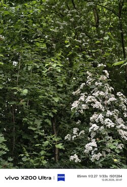 IMG_20250512_204702.jpg