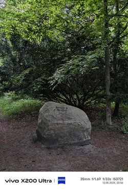 IMG_20250512_205652.jpg