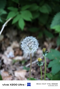 IMG_20250512_205927.jpg