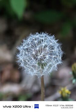 IMG_20250512_205932.jpg