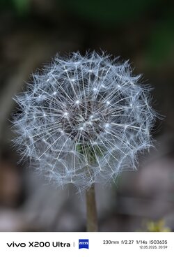 IMG_20250512_205936.jpg