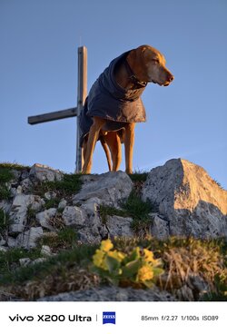 IMG_20250513_060037.jpg