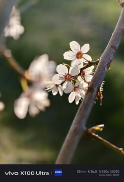 IMG_20250406_080951.jpg