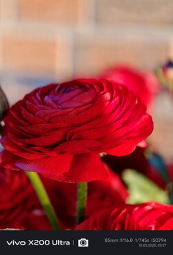 IMG_20250512_202710.jpg
