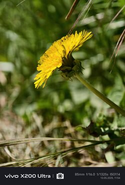 IMG_20250513_115423.jpg