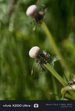 IMG_20250513_115551.jpg