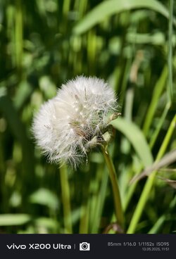 IMG_20250513_115106.jpg