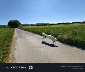 IMG_20250513_114615_5.jpg
