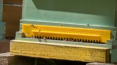 PXL_20250513_094926559~2.jpg