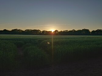 20250512_204143.JPG