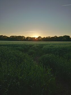 20250512_204330.JPG