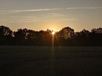 20250512_204204.JPG