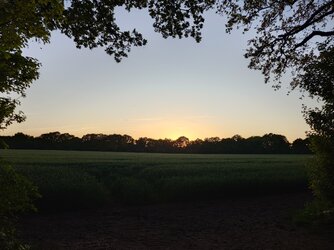 20250512_205251.JPG
