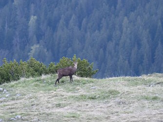 P5130039-Bearbeitet.jpg