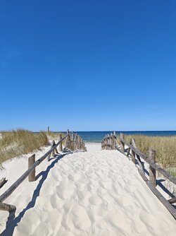 IMG_20250512_140442.jpg