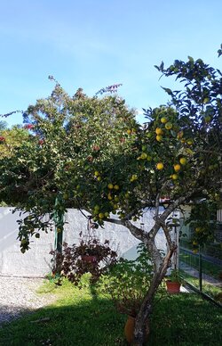 IMG_20250513_133811~2.jpg