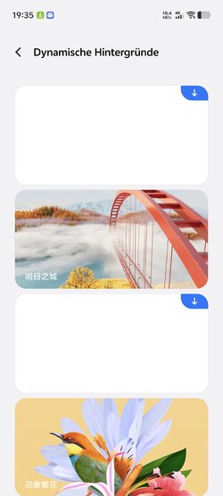 Screenshot_20250513_193502.jpg