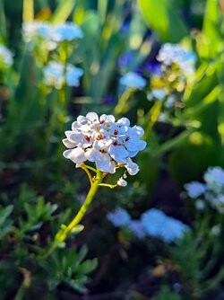 IMG_20250509_193430.jpg