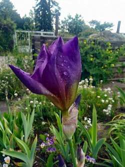 IMG_20250511_161919.jpg