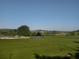 IMG_20250513_185605.jpg