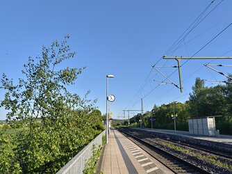 IMG_20250513_185521.jpg